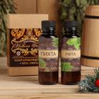 Набор ароматизаторов 2 шт по 100 мл "Счастливого Нового года", пихта, мята - Фото 1