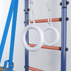 Детский спортивный комплекс Polini Sport Neo, враспор, синий - Фото 5