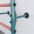 Детский спортивный комплекс Polini Sport Turbo, пристенный, розовый - Фото 4