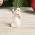 Сувенир полистоун "Серенький маленький крысёныш" МИКС 3,5х2х2 см - Фото 3