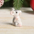 Сувенир полистоун "Серенький маленький крысёныш" МИКС 3,5х2х2 см - Фото 4