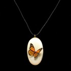 Кулон «Бабочки», 3D, 3×5,5 см, селенит - фото 766527