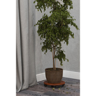 Комплект напольных подставок «Спираль» (2 шт), 345 × 345 × 70 мм, цвет орех - Фото 2