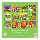 Календарь на скрепке "Садово- огородный. Лунный календарь." 2020 год, 28,5 х 28,5 см - Фото 3