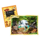 Квест книги-игры №1, версия 1, 5 книг, 7+, МИКС - Фото 4