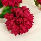 Цветы искусственные "Хризантема ажурная" 7*48 см, бордовый - Фото 2