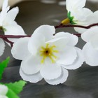 Цветы искусственные "Ветка яблони" 4,5х58 см, белый - Фото 2