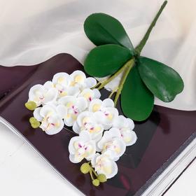 Цветы искусственные 'Орхидея королевская' 3,5х28 см, белый
