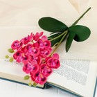Цветы искусственные "Орхидея королевская" 3,5*28 см, малиновый - Фото 1