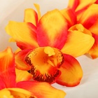 Цветы искусственные "Камбрия" 9*71 см, оранжевый - фото 809212666