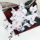 Цветы искусственные "Орхидея фаленопсис" 8х80 см, белый - фото 8850237