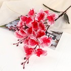 Цветы искусственные "Орхидея фаленопсис" 8х80 см, красный - фото 320008444