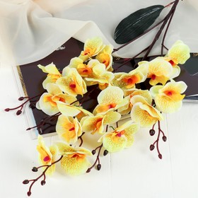 Цветы искусственные "Орхидея фаленопсис" 8х80 см, жёлтый