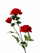 Цветы искусственные «Роза триада», 7×62 см, красные 4301710