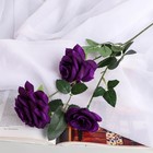 Цветы искусственные "Роза тройная" 6х61 см, фиолетовый - Фото 1