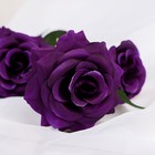 Цветы искусственные "Роза тройная" 6х61 см, фиолетовый - Фото 2
