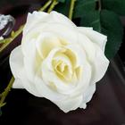 Цветы искусственные "Роза тройная" 6х61 см, белый - Фото 2