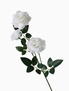 Цветы искусственные «Роза тройная», 6?61 см, белые (комплект 2 шт) - фото 53789398