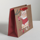 Пакет горизонтальный крафтовый «Котик», 23 х 18 х 8 см - Фото 2