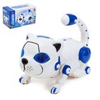 Игрушка-робот «Кошка», работает от батареек, световые и звуковые эффекты, МИКС - фото 3386521