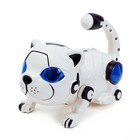 Игрушка-робот «Кошка», работает от батареек, световые и звуковые эффекты, МИКС - фото 3838186
