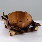Кашпо «Кокос», 20×20×9 см, кокос, дерево - фото 11040609