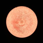Краска акриловая люминесцентная (светящаяся в темноте), LUXART Lumi, 20 мл, красно-оранжевый, красно-оранжевое свечение (L6V20) - Фото 8