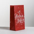 Пакет без ручек «Новогодний подарок», 10 × 19.5 × 7 см - Фото 1