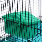 Домик для грызунов "Мини", 11 х 8 х 7 см, зеленый микс - Фото 5