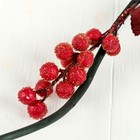 Декор тинги 150 см ягодки капля (цена за 1шт) - Фото 3
