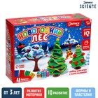 Набор для игры с пластилином «Новогодний лес», 4 бруска пластилина - Фото 1