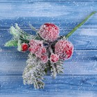 Декор "Зимнее очарование" ягодки звёздочка хвоя, 15 см - фото 318217949