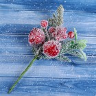 Декор "Зимнее очарование" ягодки звёздочка хвоя, 15 см - Фото 2