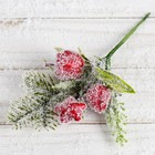Декор "Зимнее очарование" ягодки звезда хвоя иней, 15 см - фото 318217953