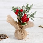 Декор "Зимнее очарование" ягодки листья в мешочке, 17 см - фото 318218004