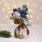 Новогодняя композиция на стол «Зимнее волшебство. Очарование» в мешочке, черника, шишка, 14 см - Фото 1