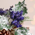 Новогодняя композиция на стол «Зимнее волшебство. Очарование» в мешочке, черника, шишка, 14 см - Фото 2