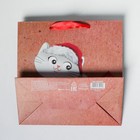 Пакет крафтовый квадратный «Волшебного праздника», 22 × 22 × 11 см - Фото 4