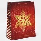 Пакет вертикальный «Золотая снежинка», 31 × 40 × 11 см - фото 804173950