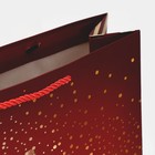 Пакет вертикальный «Золотая снежинка», 31 × 40 × 11 см - фото 804173952