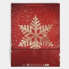 Пакет вертикальный «Золотая снежинка», 31 × 40 × 11 см - фото 804173954