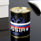 Копилка-банка металл "Russia" 7,3х9,5 см - Фото 2