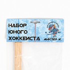 Набор для игры в хоккей «Мастер К», клюшка, шайба, мяч - Фото 2