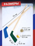 Набор для игры в хоккей (клюшка 2 шт., ворота, шайба, мяч), цвет МИКС - Фото 2