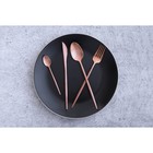 Набор столовых приборов из нержавеющей стали Magistro «Оску базис», 4 предмета, цвет бронзовый - Фото 7