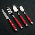 Набор столовых приборов из нержавеющей стали «Аппетит», 24 предмета, цвет ручек красный - Фото 1