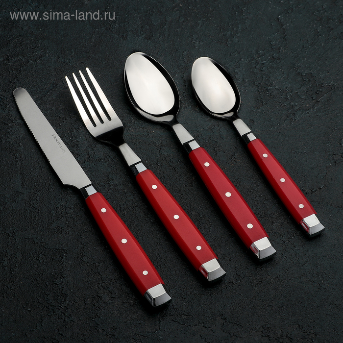Набор столовых приборов из нержавеющей стали «Аппетит», 24 предмета, цвет ручек красный - Фото 1