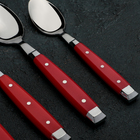 Набор столовых приборов из нержавеющей стали «Аппетит», 24 предмета, цвет ручек красный - Фото 2