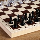 Шахматные фигуры, король h-5.8 см, пешка h-2.8 см - фото 3838549