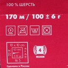 Пряжа "Деревенька" 100% шерсть 170м/100гр (5152 мулине) - Фото 3